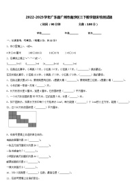 2022-2023学年广东省广州市南沙区三下数学期末检测试题含答案