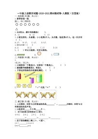 一年级上册数学试题-2020-2021期末测试卷一