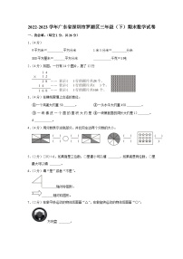 广东省深圳市罗湖区2022-2023学年三年级下学期期末数学试卷