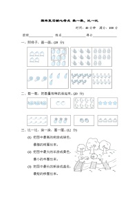 期末复习核心考点 数一数、比一比（试题）- 一年级上册数学苏教版