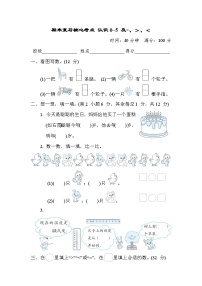 期末复习核心考点 认识0~5 及=、＞、＜（试题）- 一年级上册数学苏教版