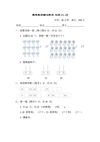 期末复习核心考点 认识11~20（试题）- 一年级上册数学苏教版