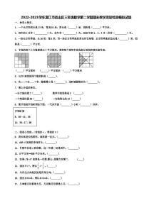 广东省湛江市霞山区2022-2023学年三年级下学期期末模拟数学试题