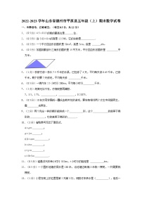 2022-2023学年山东省德州市平原县五年级（上）期末数学试卷