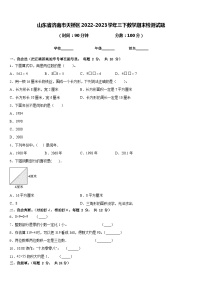 山东省济南市天桥区2022-2023学年三下数学期末检测试题含答案