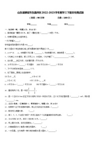 山东省聊城市东昌府区2022-2023学年数学三下期末经典试题含答案