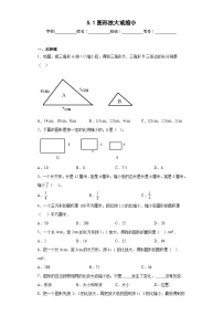 【同步练习】西师大版数学六年级上册--5.1图形放大或缩小 同步练习（原卷版+解析版）