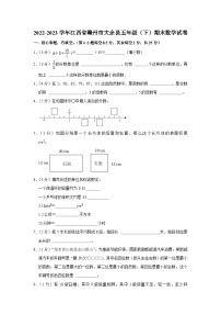 江西省赣州市大余县2022-2023学年五年级下学期期末数学试卷