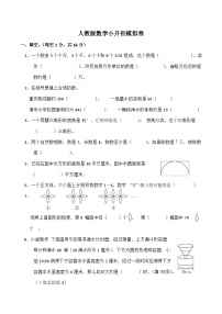 人教版数学六年级下册小升初模拟卷（试题）