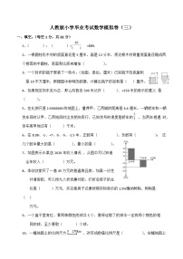 人教版数学六年级下册小升初模拟卷（三）