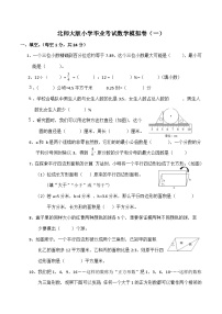 北师大版数学小升初考试模拟卷（一）