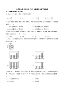 小升初入学分班考试（试题）-六年级下册数学人教版