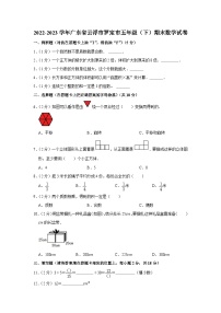 广东省云浮市罗定市2022-2023学年五年级下学期期末数学试卷