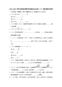 河南省安阳市汤阴县2022-2023学年五年级下学期期末数学试卷