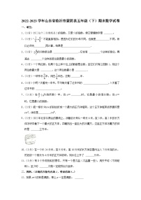 山东省临沂市蒙阴县2022-2023学年五年级下学期期末数学试题