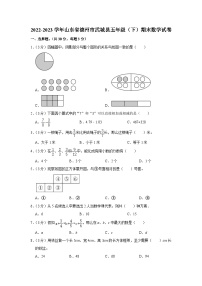 山东省德州市武城县2022-2023学年五年级下学期期末数学试卷