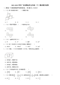 广东省清远市2022-2023学年五年级下学期期末数学试卷