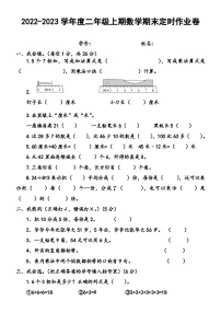 四川省达州市大竹县第三小学2022-2023学年二年级上学期期末定时作业数学试题