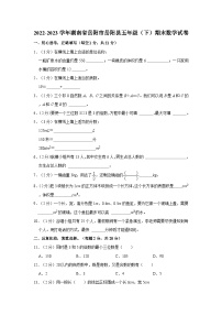 2022-2023学年湖南省岳阳市岳阳县五年级下学期期末数学试卷（含解析）