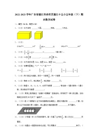 2022-2023学年广东省湛江市赤坎区湛江十五小五年级下学期期末数学试卷（含解析）