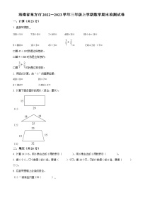 2022-2023学年海南省东方市人教版三年级上册期末检测数学试卷