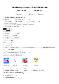 甘肃省甘南藏族自治州迭部县2022-2023学年三年级下学期期末数学试题