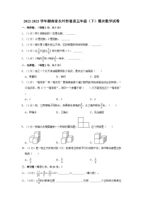 2022-2023学年湖南省永州市道县五年级下学期期末数学试卷