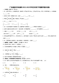 广东省韶关市翁源县2022-2023学年五年级下学期期末数学试题