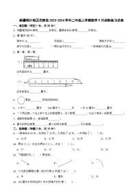 新疆喀什地区巴楚县2023-2024学年二年级上学期数学9月诊断练习试卷