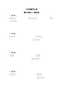 人教版六年级数学上册期中专练十：解方程（原卷版）+解析