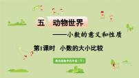 小学数学青岛版 (六三制)四年级下册五 动物世界---小数的意义和性质多媒体教学ppt课件