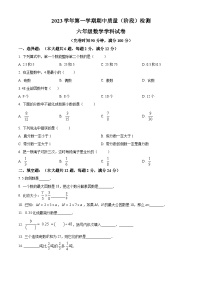 上海市浦东新区2023-2024学年六年级上学期期中数学试题