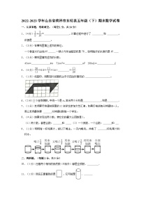 2022-2023学年山东省菏泽市东明县五年级（下）期末数学试卷