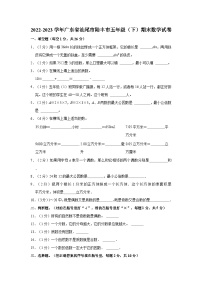 2022-2023学年广东省汕尾市陆丰市五年级（下）期末数学试卷