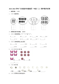 广东省惠州市惠城区2023-2024学年一年级上学期期中数学试卷