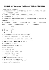 51，河北省保定市顺平县2022-2023学年三年级下学期期末教学质量检测数学试题