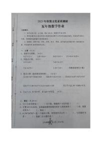 河南省南阳市西峡县2023-2024学年五年级上学期期中数学试题