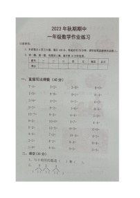 河南省南阳市西峡县2023-2024学年一年级上学期11月期中数学试题