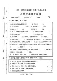 广东省梅州市大埔县2023-2024学年五年级上学期11月期中数学试题