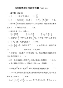 山东省聊城市莘县实验小学2023-2024学年六年级上学期期中考试数学试题