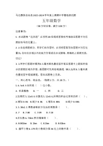 四川省乐山市马边彝族自治县2023-2024学年五年级上学期期中学情检测数学试题