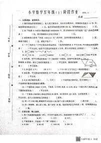 江苏省泰州市兴化市2023-2024学年五年级上学期期中阶段作业数学试卷