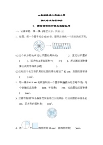 人教版数学六上 圆的面积的计算及实际应用 核心考点测评（含答案）