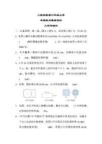 人教版数学六上 几何与统计 专项复习测评（含答案）