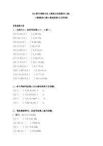 人教版五年级上册小数乘小数课时作业