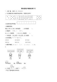 期末提优冲刺验收卷(试题)一年级上册数学人教版