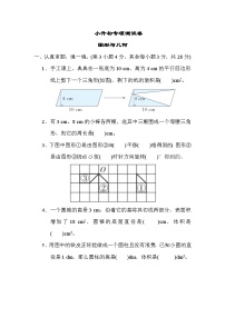 小升初专项测试 图形与几何----六年级下册数学人教版