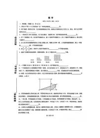 重庆市九龙坡区外国语学校森林小学2023-2024学年六年级上学期期中阶段测试数学试题