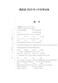 河南省周口市鹿邑县2022-2023学年六年级下学期期末考试数学试卷