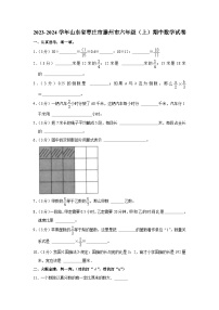 山东省枣庄市滕州市2023-2024学年六年级上学期期中数学试卷